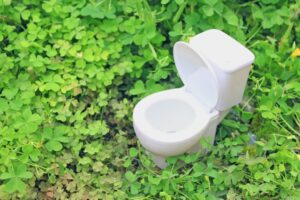 トイレの模型